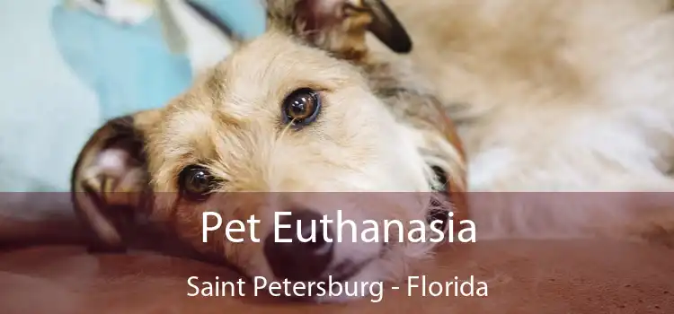 Pet Euthanasia Saint Petersburg - Florida