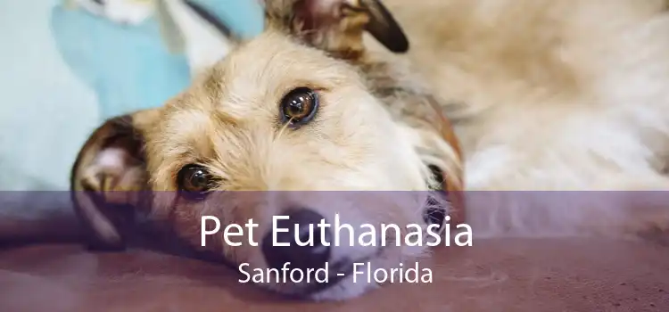 Pet Euthanasia Sanford - Florida