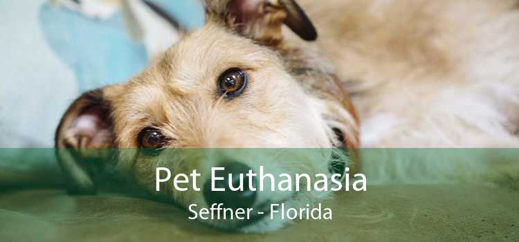 Pet Euthanasia Seffner - Florida