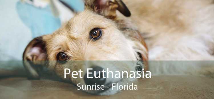Pet Euthanasia Sunrise - Florida