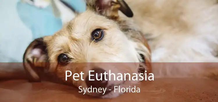 Pet Euthanasia Sydney - Florida