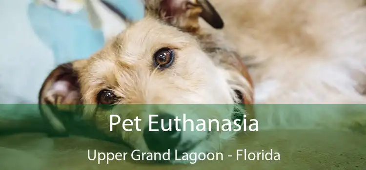 Pet Euthanasia Upper Grand Lagoon - Florida