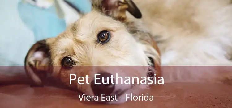 Pet Euthanasia Viera East - Florida