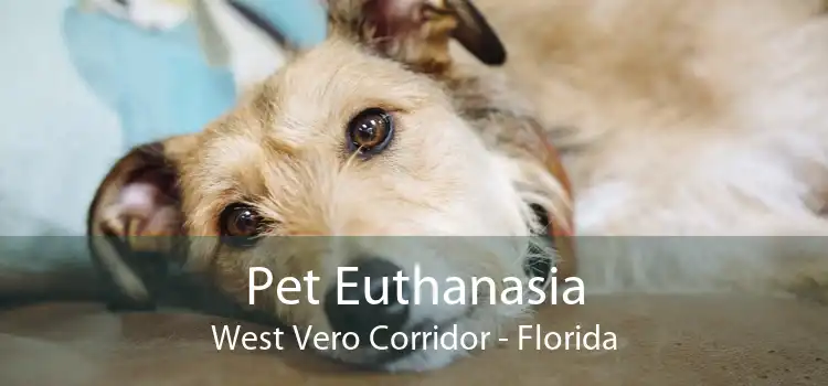 Pet Euthanasia West Vero Corridor - Florida