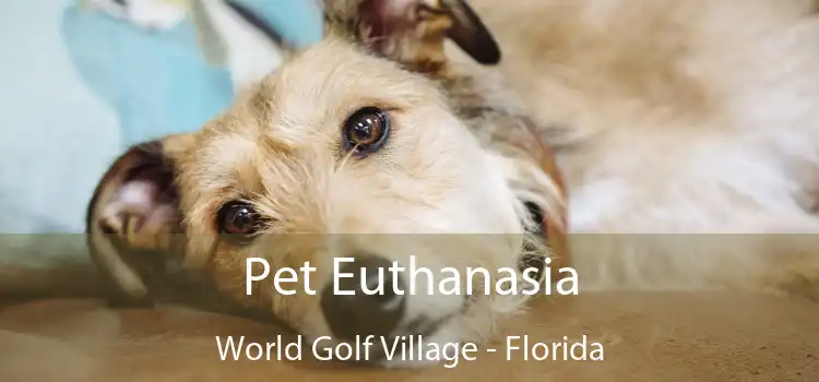 Pet Euthanasia World Golf Village - Florida