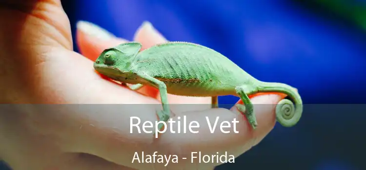 Reptile Vet Alafaya - Florida