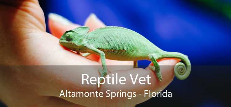 Reptile Vet Altamonte Springs - Florida