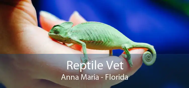 Reptile Vet Anna Maria - Florida