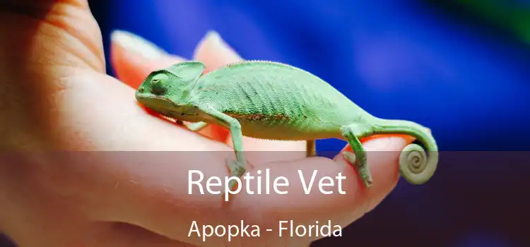 Reptile Vet Apopka - Florida