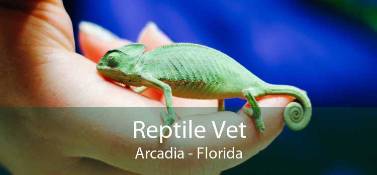Reptile Vet Arcadia - Florida