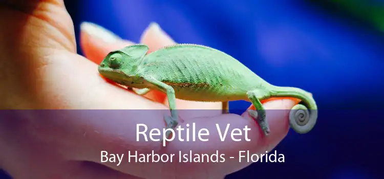 Reptile Vet Bay Harbor Islands - Florida