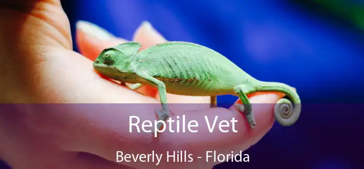 Reptile Vet Beverly Hills - Florida