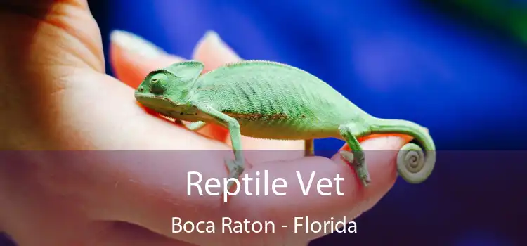 Reptile Vet Boca Raton - Florida