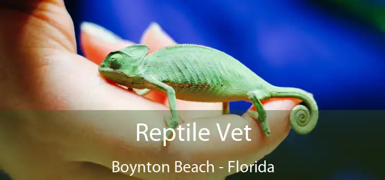 Reptile Vet Boynton Beach - Florida