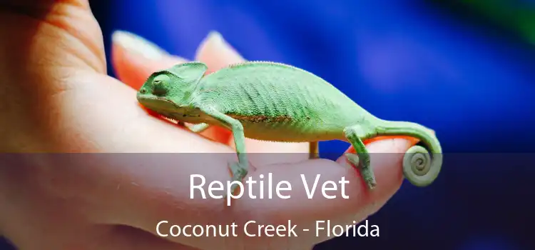 Reptile Vet Coconut Creek - Florida