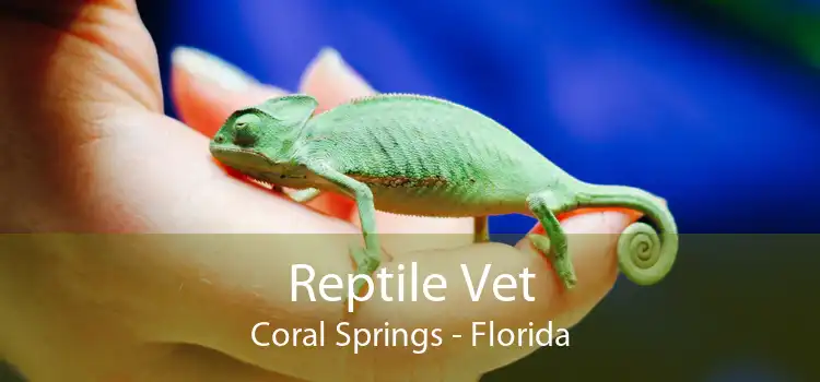 Reptile Vet Coral Springs - Florida