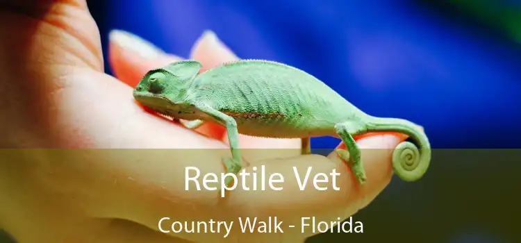 Reptile Vet Country Walk - Florida