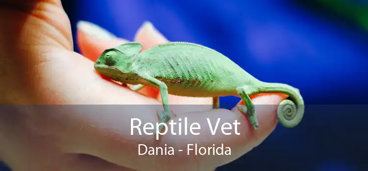 Reptile Vet Dania - Florida