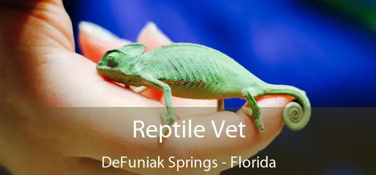 Reptile Vet DeFuniak Springs - Florida