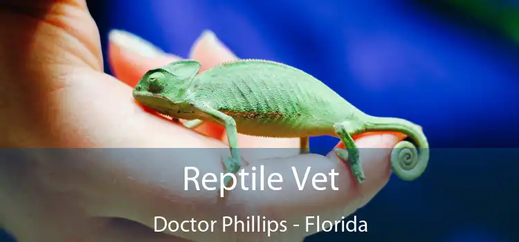 Reptile Vet Doctor Phillips - Florida