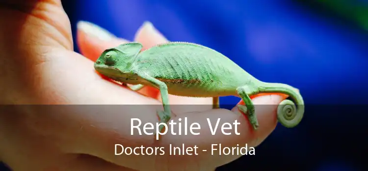 Reptile Vet Doctors Inlet - Florida