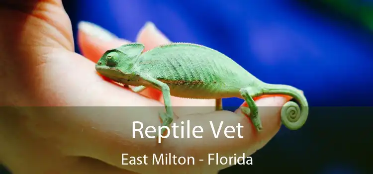 Reptile Vet East Milton - Florida