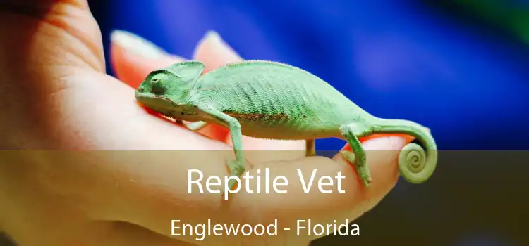 Reptile Vet Englewood - Florida