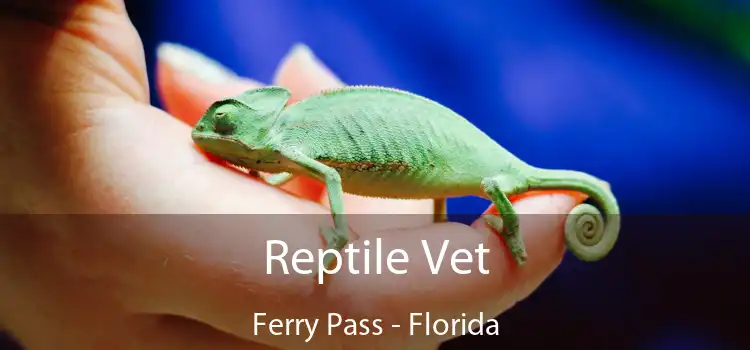 Reptile Vet Ferry Pass - Florida