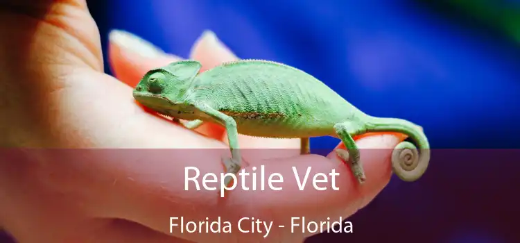 Reptile Vet Florida City - Florida