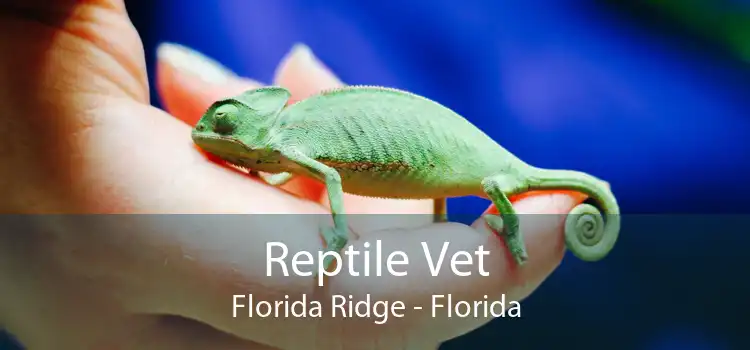 Reptile Vet Florida Ridge - Florida
