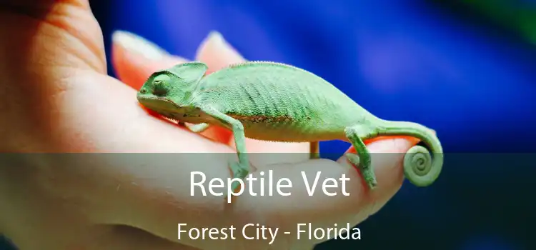 Reptile Vet Forest City - Florida