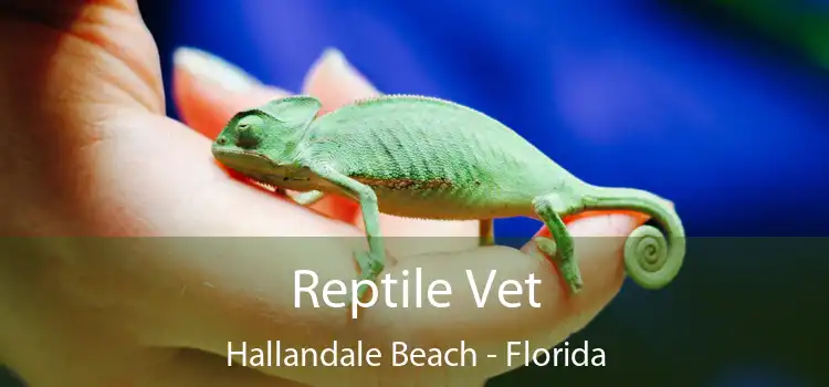 Reptile Vet Hallandale Beach - Florida