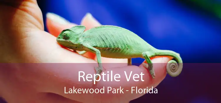 Reptile Vet Lakewood Park - Florida