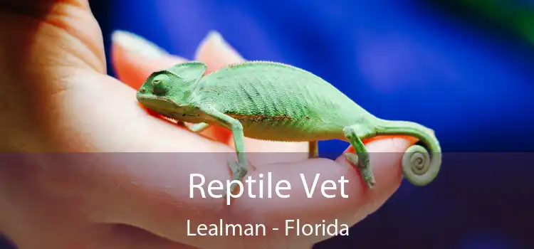 Reptile Vet Lealman - Florida