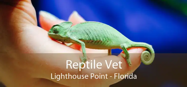 Reptile Vet Lighthouse Point - Florida