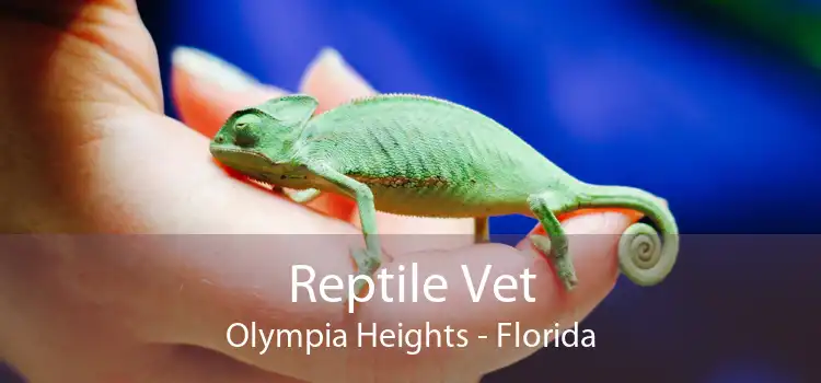 Reptile Vet Olympia Heights - Florida