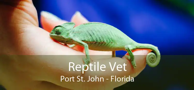 Reptile Vet Port St. John - Florida