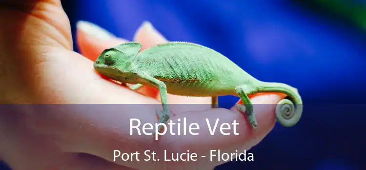 Reptile Vet Port St. Lucie - Florida