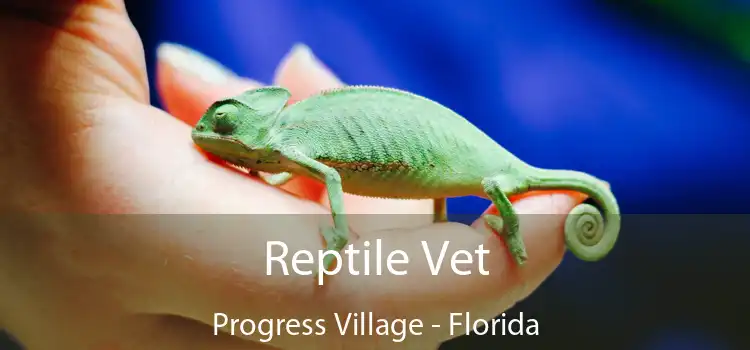 Reptile Vet Progress Village - Florida