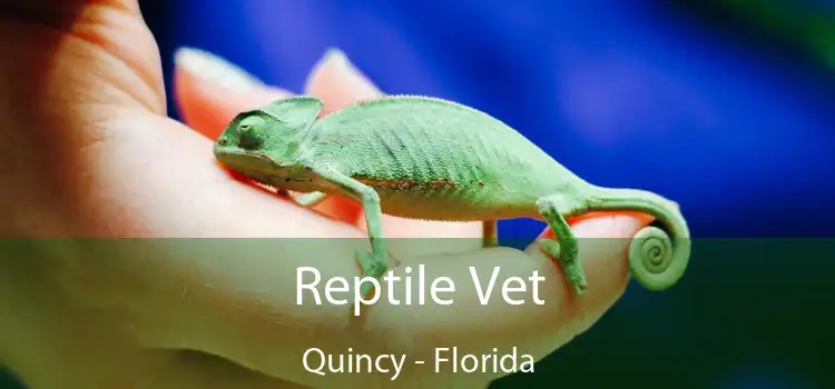 Reptile Vet Quincy - Florida