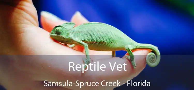 Reptile Vet Samsula-Spruce Creek - Florida