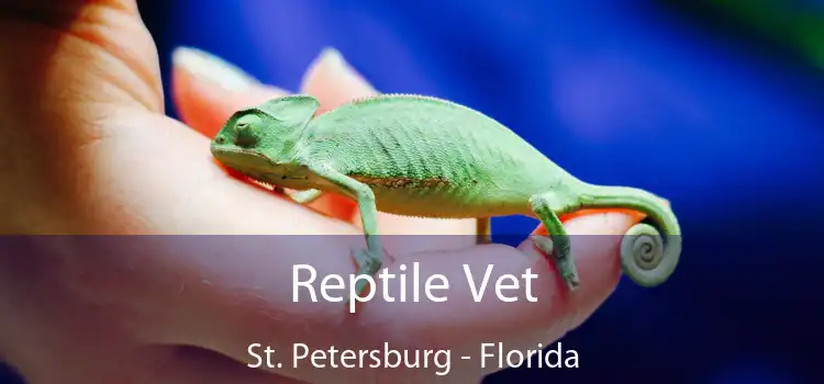 Reptile Vet St. Petersburg - Florida