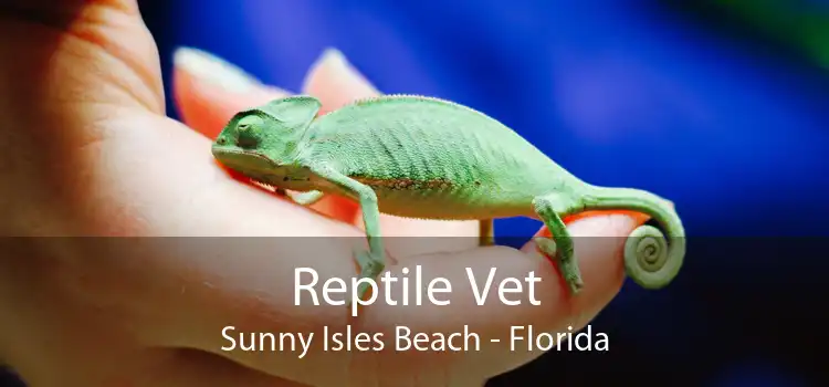 Reptile Vet Sunny Isles Beach - Florida