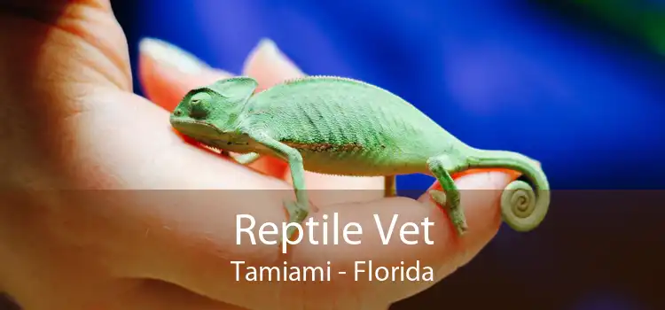 Reptile Vet Tamiami - Florida
