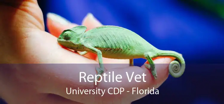 Reptile Vet University CDP - Florida