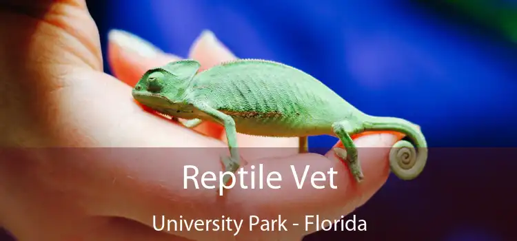 Reptile Vet University Park - Florida