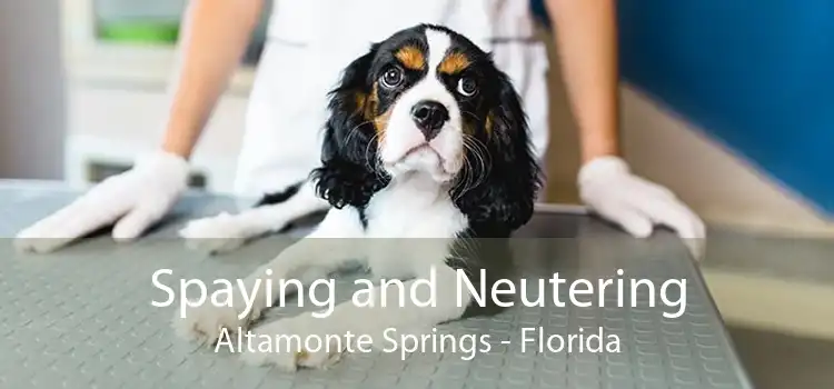 Spaying and Neutering Altamonte Springs - Florida