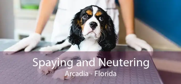 Spaying and Neutering Arcadia - Florida