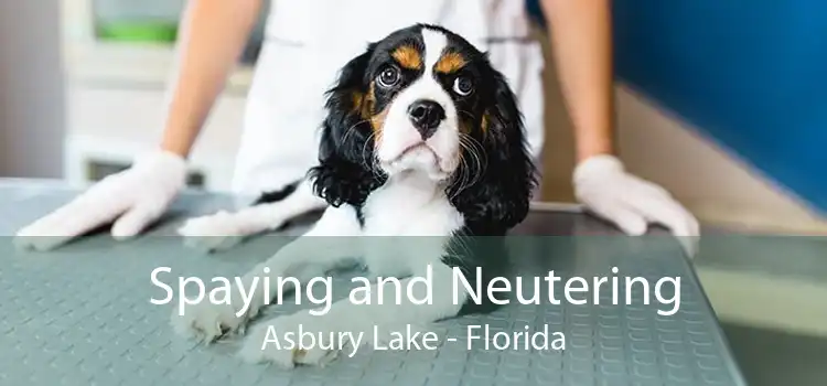 Spaying and Neutering Asbury Lake - Florida