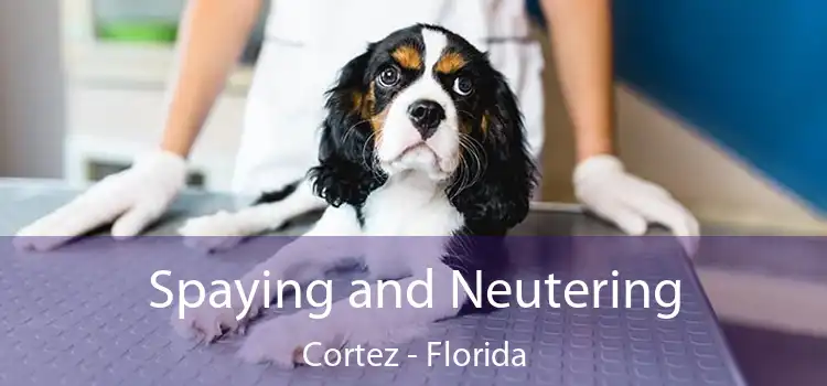 Spaying and Neutering Cortez - Florida